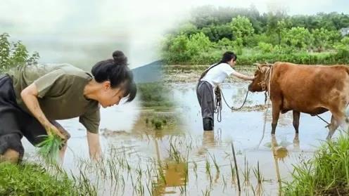 “坚强番茄”碰见“钢铁直男”