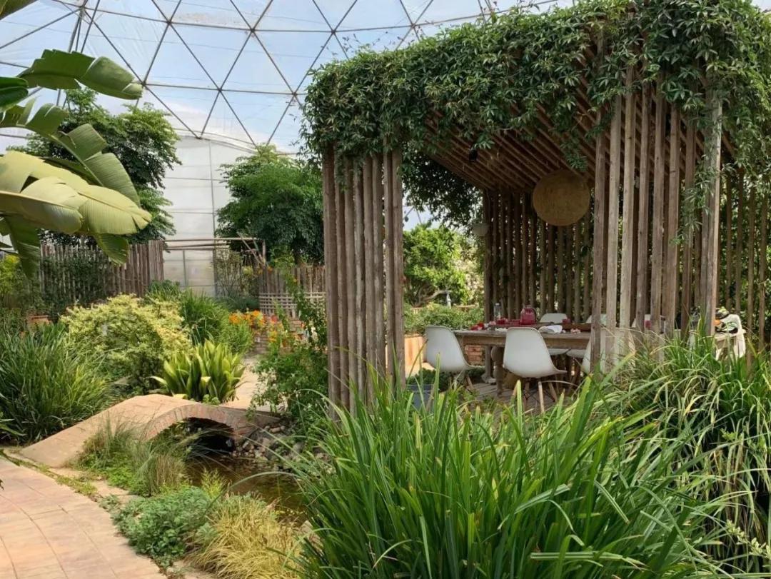 用低成本打造高颜值农场,广东夫妇超省钱