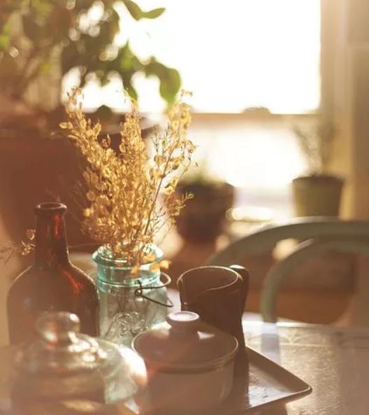 林徽因惊艳的时光,林徽因一片阳光原文