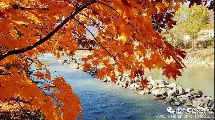 小年礼物赋佳木斯女诗人等诗