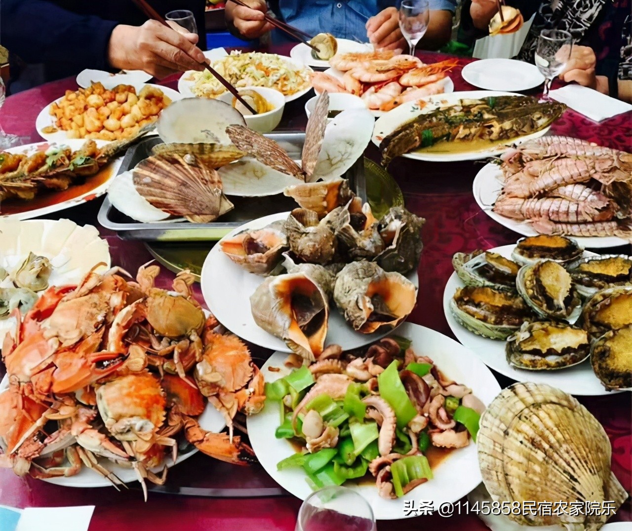 长岛卫芬渔家乐一日游,山东长岛渔家乐旅游攻略