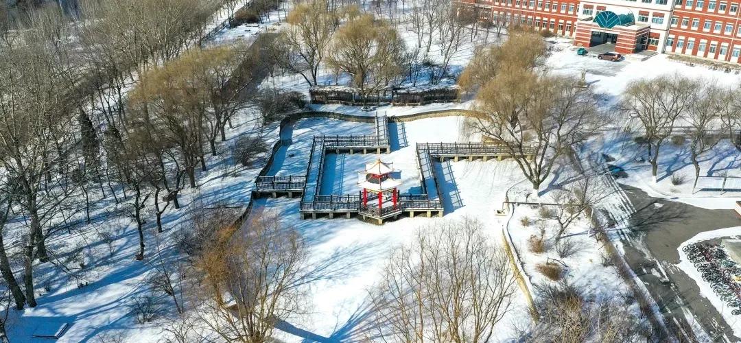 沈阳化工大学辽宁省排名,沈阳化工大学2020招生计划辽宁省