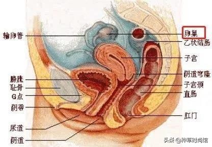 美容养生灌肤,美容灌肤正确方法步骤