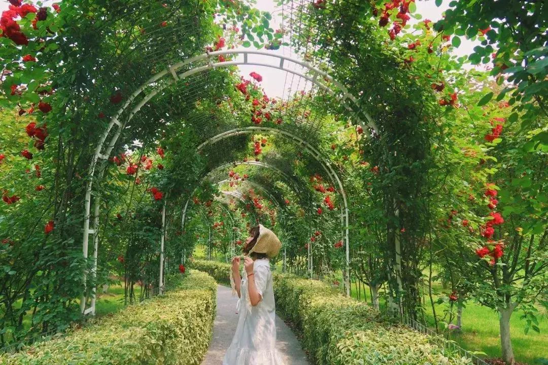 眼前一亮！6月的虹口，原来有那么多美翻了的拍照打卡地！