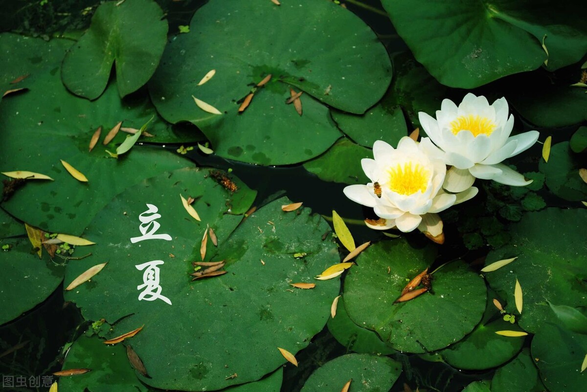 “立夏”时节，一定要注意以下事项