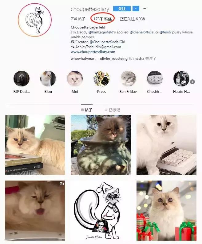 老佛爷的遗产真的由猫继承,老佛爷的所有家产最后留给了猫