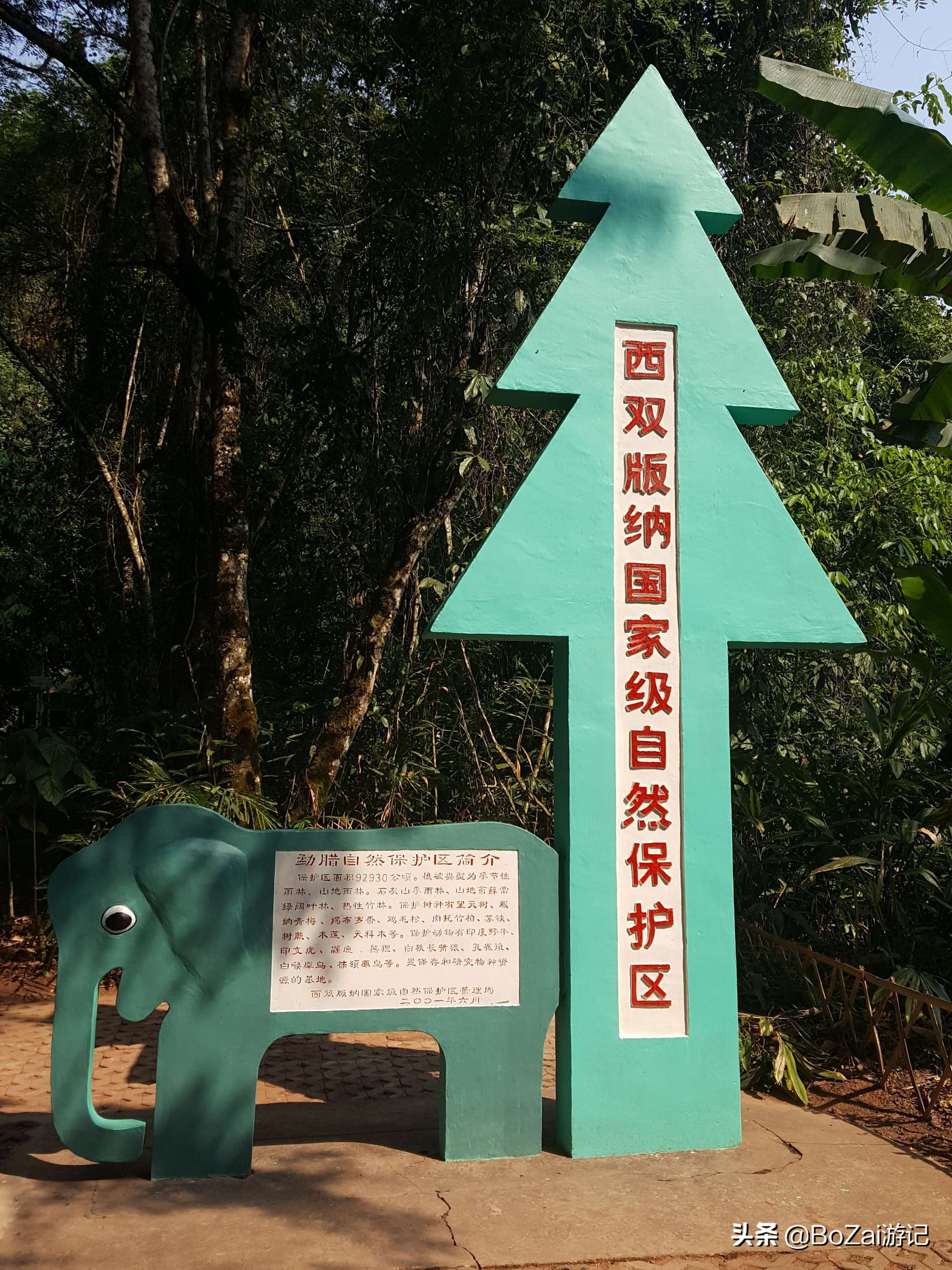 云南西双版纳到文山途经哪些景点,西双版纳适合6-12岁儿童的景点