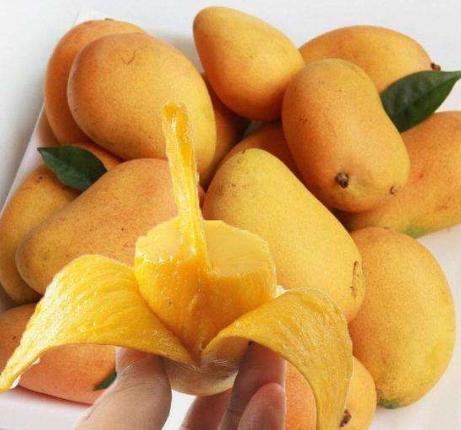 芒果腐烂,变质芒果的处理方法