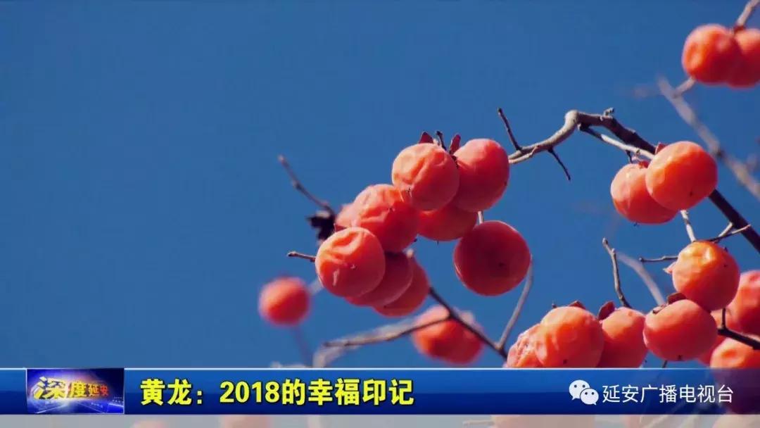 我们的2018非遗瑰宝,我们的2018好看吗