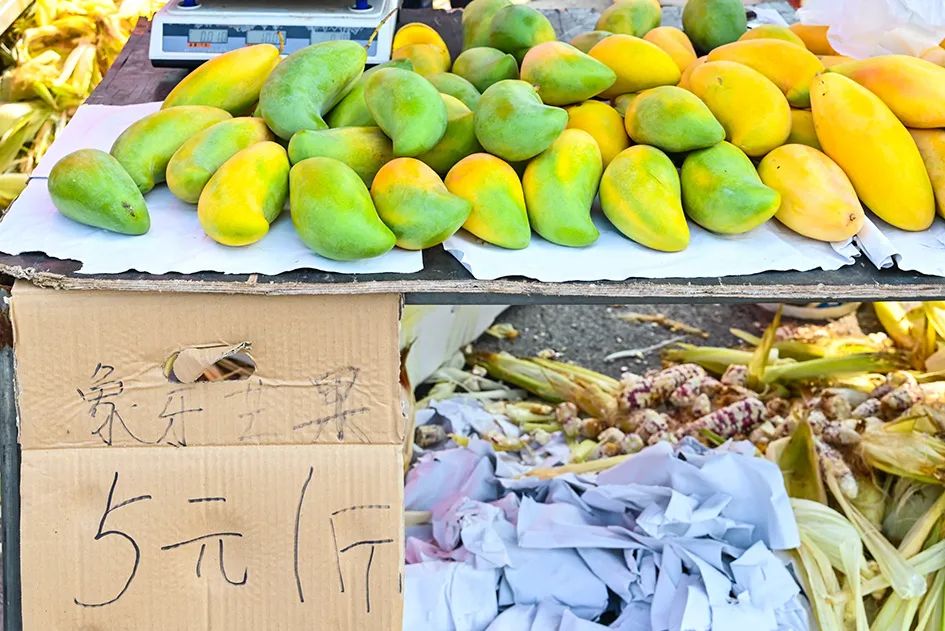 满满的烟火气逛大集真好玩,最值得逛的大集