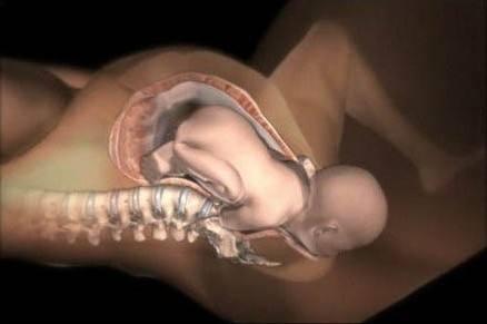 孕妇羊水破裂产女婴交警急开道,二胎孕妇羊水破了