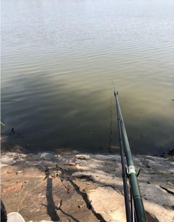 小米11pro能不能放水里,小米11pro水下能使用吗