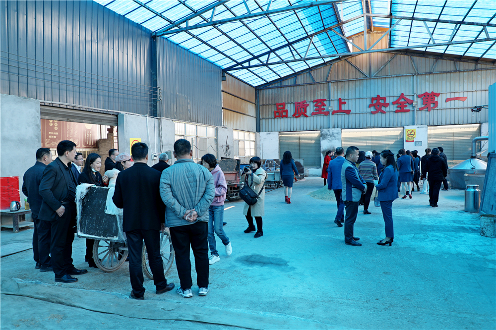 栽下梧桐树引进金凤凰,栽棵梧桐树引来金凤凰