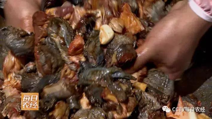 云龙诺邓火腿加工,云龙矮脚鸡