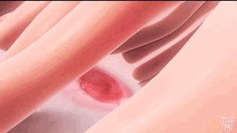 月经干净的第一天有怀孕的吗,月经干净第一天怀孕的有吗