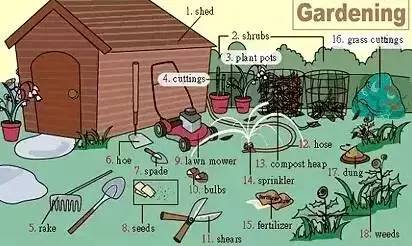 史上最全英语发音,史上最全英语词汇图