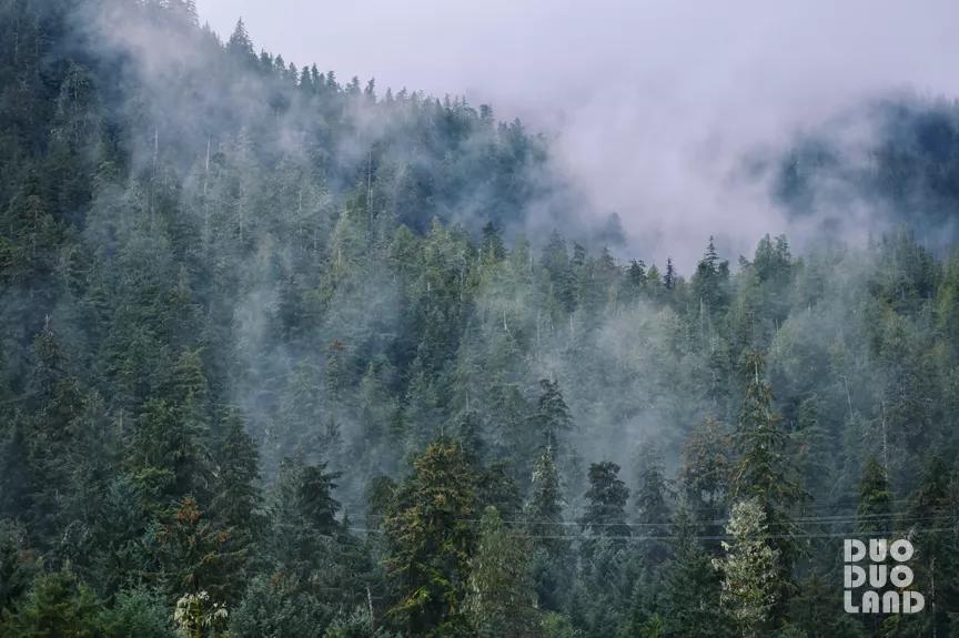 多·样|Evelyn:那些来自大自然的馈赠,原来都在旅行的日子里