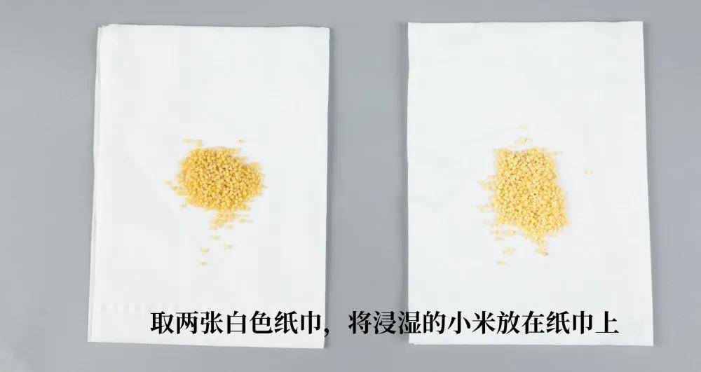 黄小米各种美食做法,黄小米美食视频