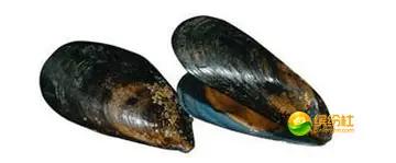 舟山4月份海鲜攻略,舟山海鲜代加工攻略