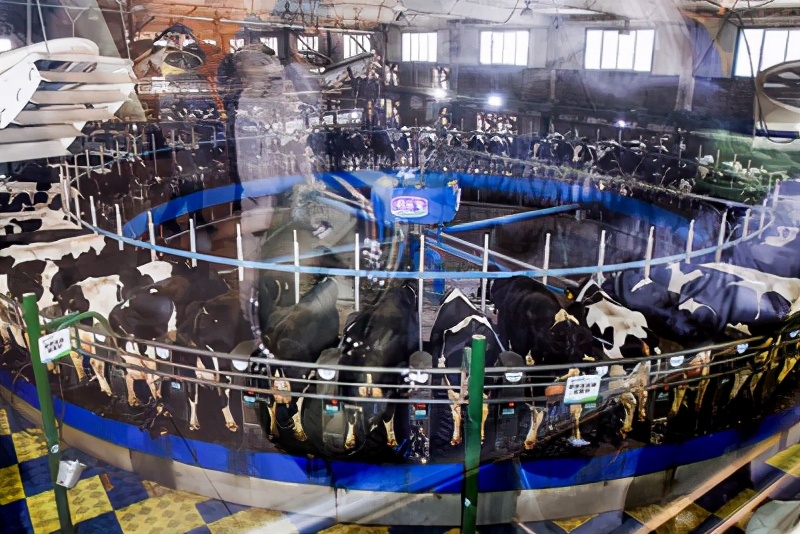 “海淘”已成过去，全产业链A2型奶粉诞生给中国宝宝母乳般呵护