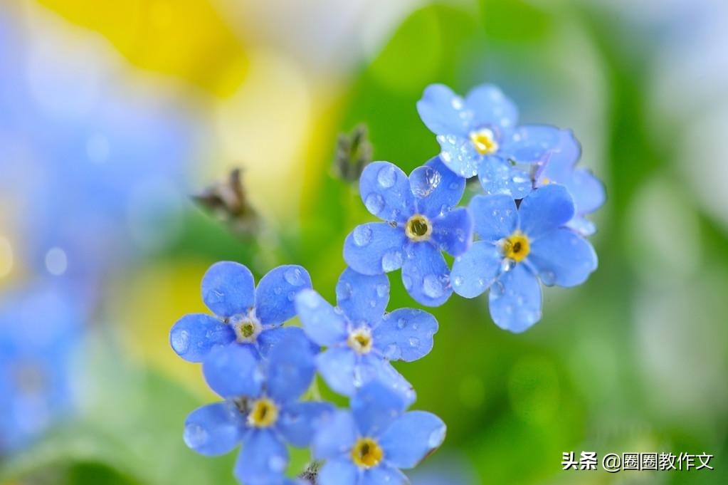 二年级作文春200字,春意正浓二年级作文