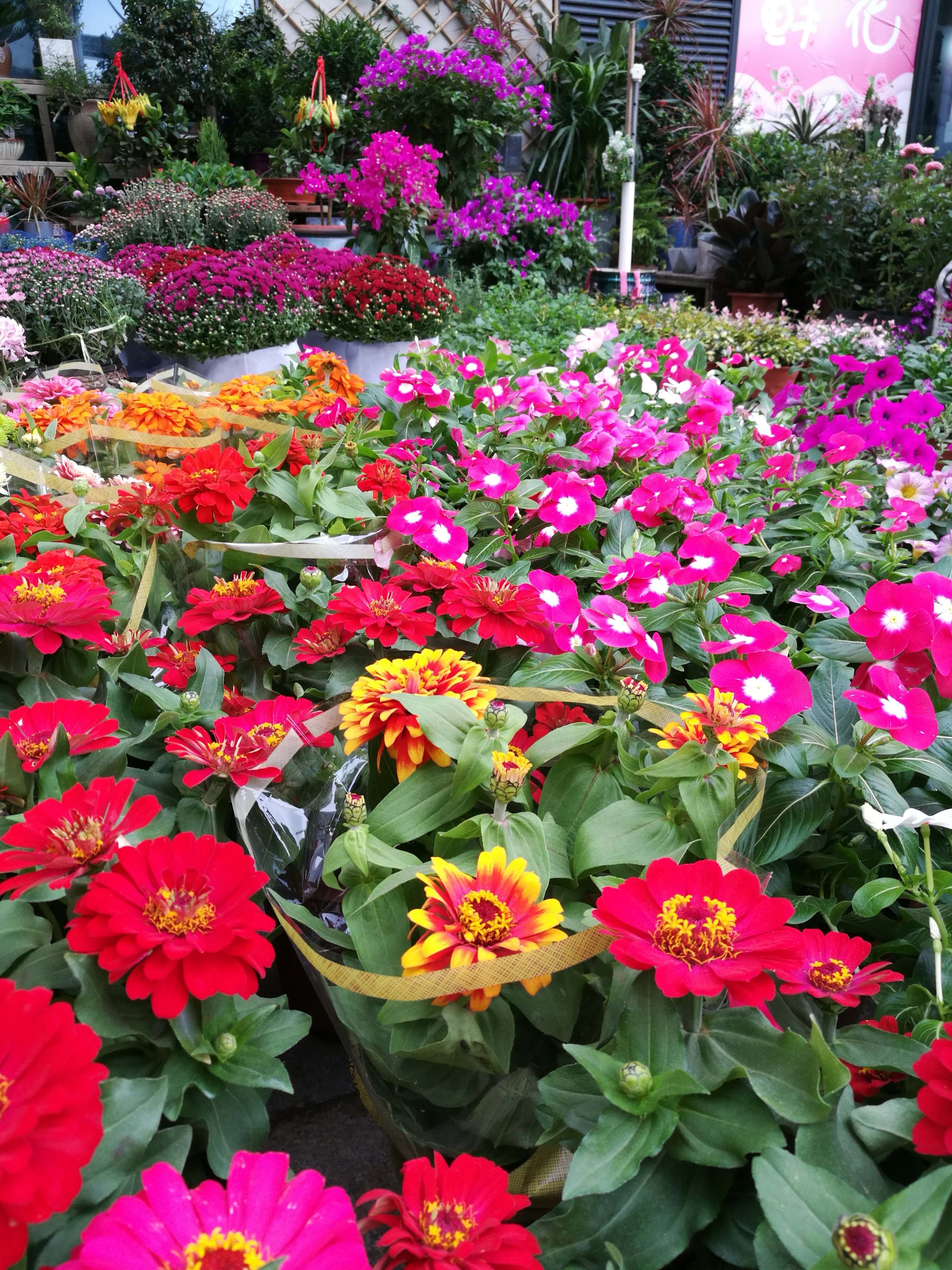 小县城开一家花店的真实感受,想在自己家开花店新手怎么入行