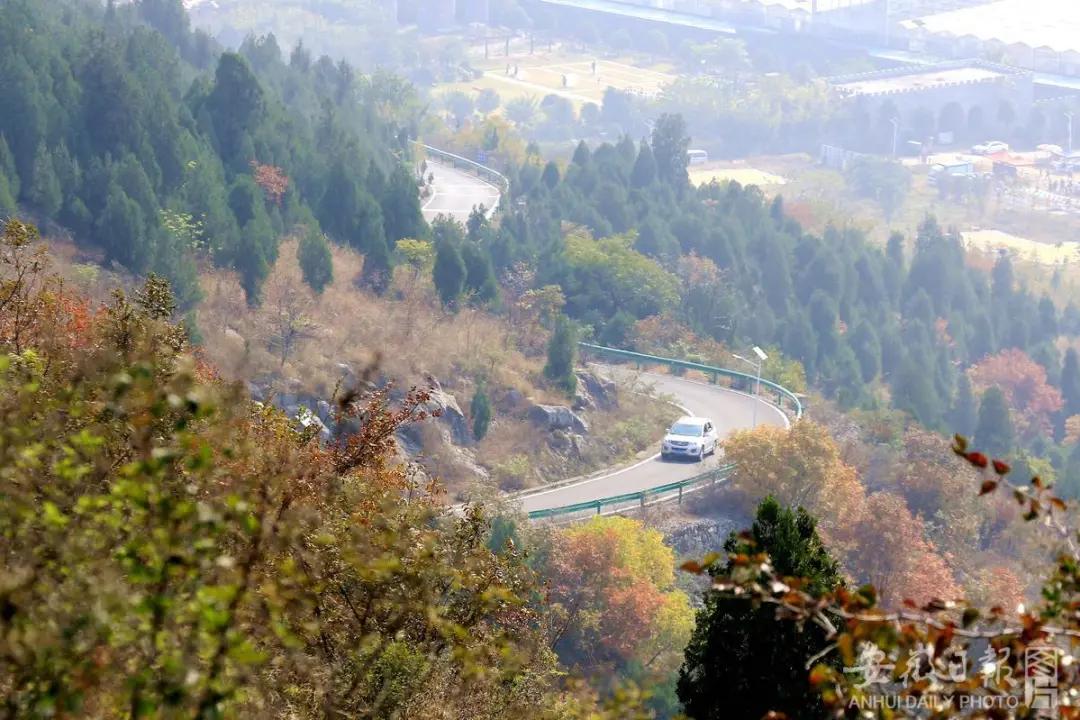 宿州夏天最美的风景在哪里,宿州观赏秋景