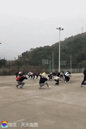 搞笑段子,搞笑动图gif微信可爱表情包