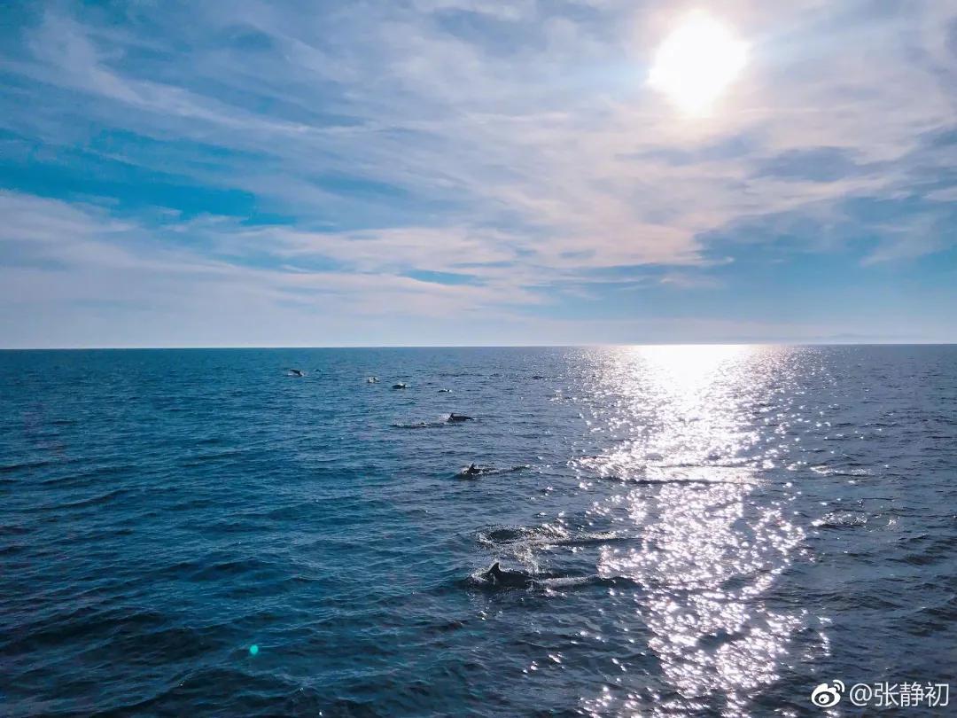 消失6年后,张静初单身生活首曝光!独居大House,与满屋破烂作伴