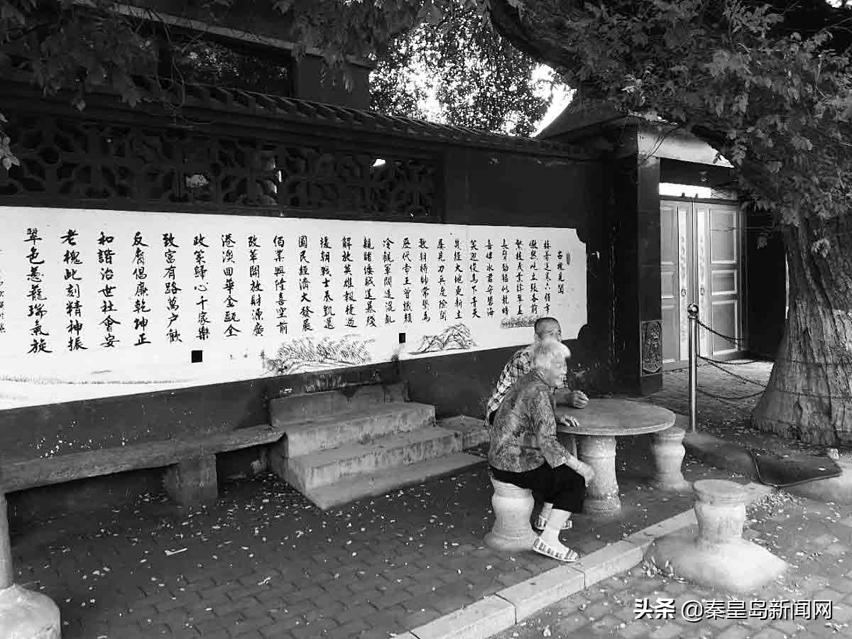 县级乡风文明示范村典型事迹材料,张各前文明生态村简介