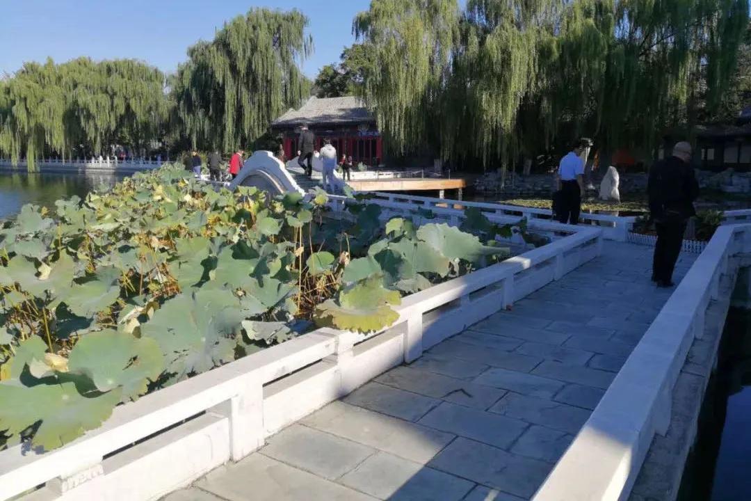 大美西城,文明寿光西城