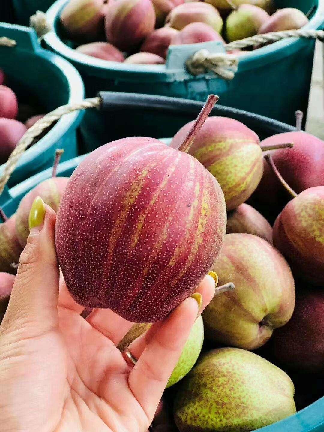 7月三伏天，有条件的多吃这4种蔬果，消暑解渴，胜过天天喝饮料