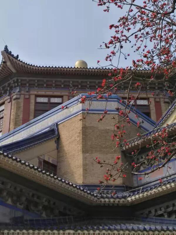 手拍世界完整版视频,手拍世界作品专集