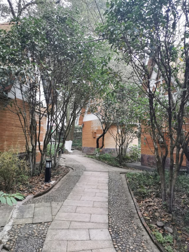 江东旅游景点推荐攻略,重庆温泉之都统景温泉