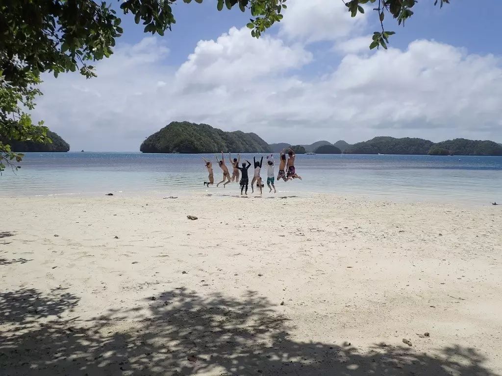 帕劳归来不看海谁说的,帕劳归来不看海