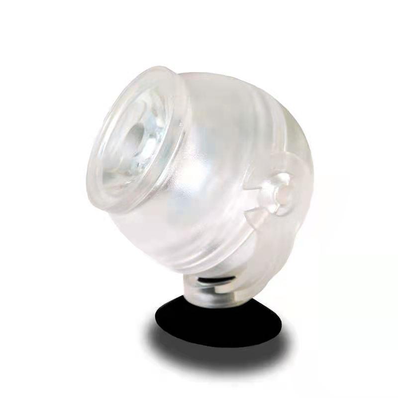 龙鱼适应灯光环境需要多久,龙鱼灯光摆放位置图解视频