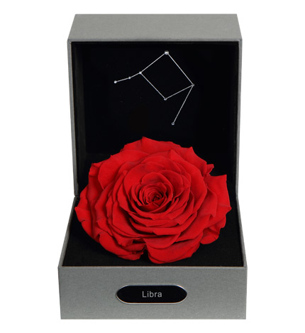 12星座女最喜欢什么花,追12星座女生送什么花