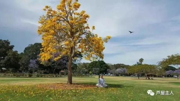 芦屋人物:我的老友,德玄师太
