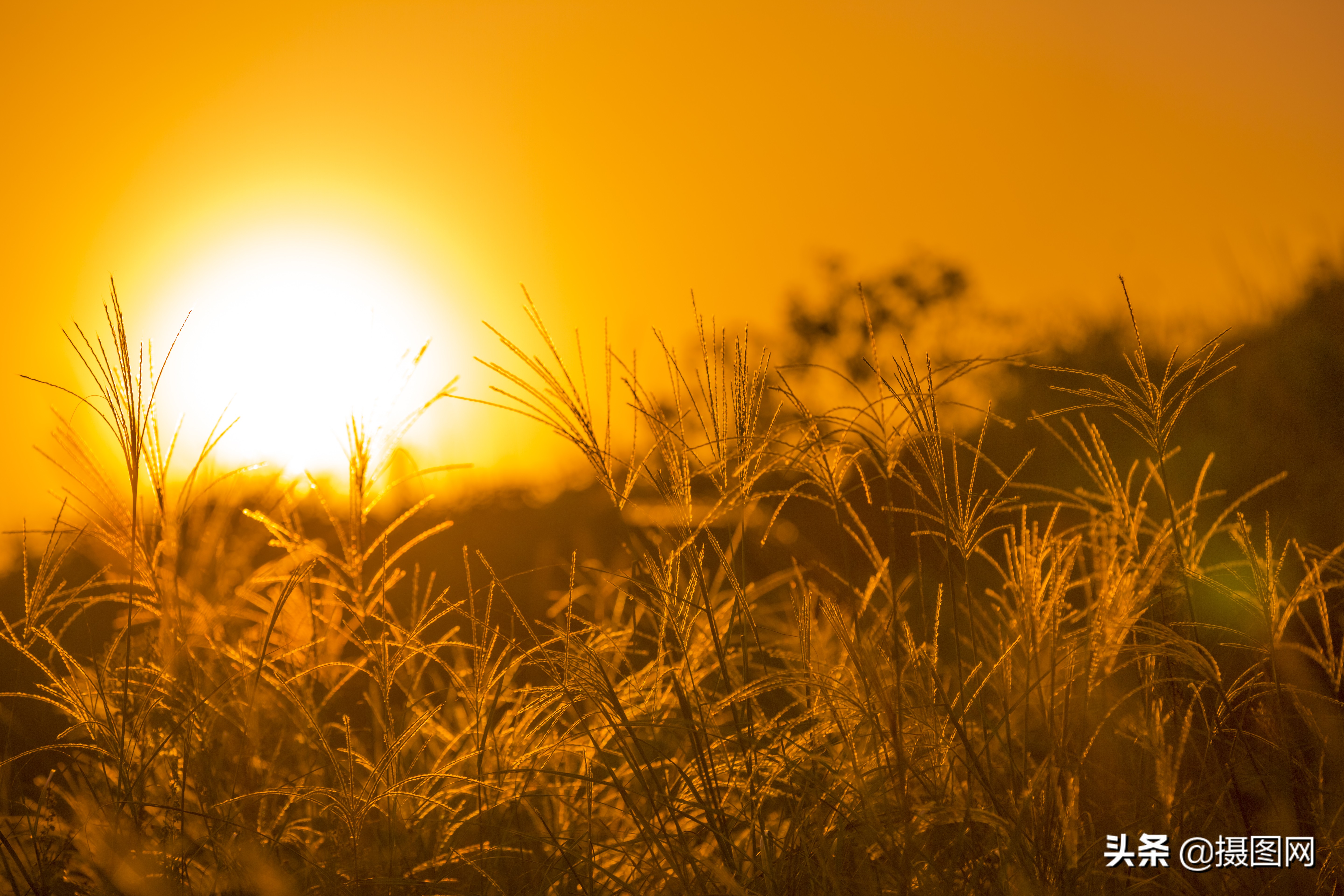 电脑壁纸高清全屏1920x1080,电脑壁纸超清壁纸竖屏