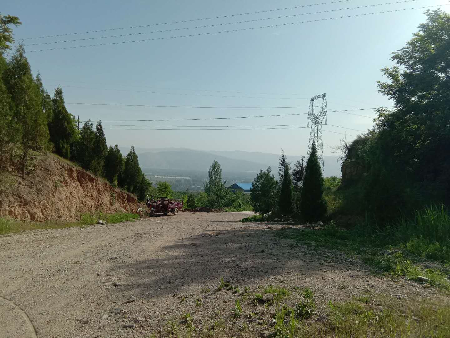 甘谷金山农民作家张志刚,甘谷徒步张志刚