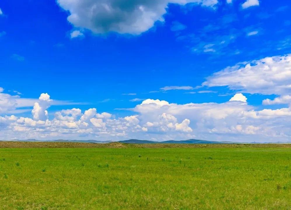 八月的呼伦贝尔大草原,辽阔的呼伦贝尔大草原风景