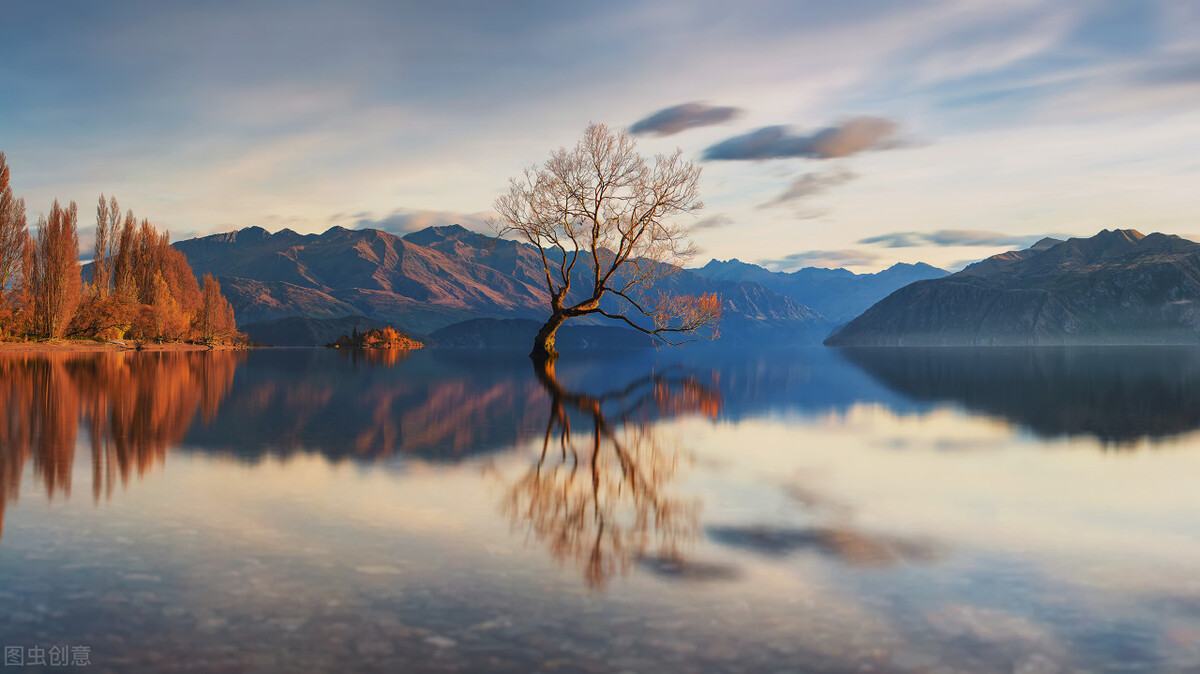 下卷/第六章网络冲击美业地震平台抱团寒冬共渡(1)