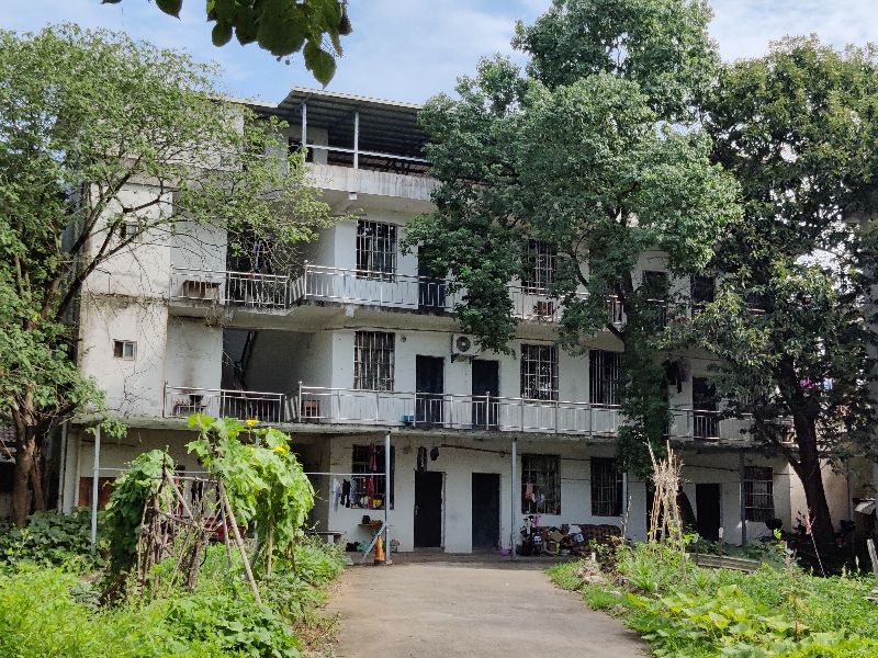 黄山带娃旅游攻略一日游最佳线路,春节西安到黄山自驾游攻略