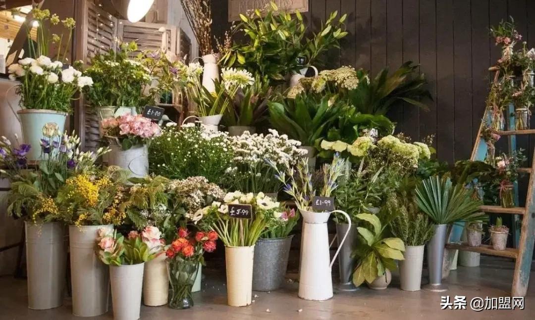 新手小白怎么开好一家花店,没有社会经验如何运转一家花店