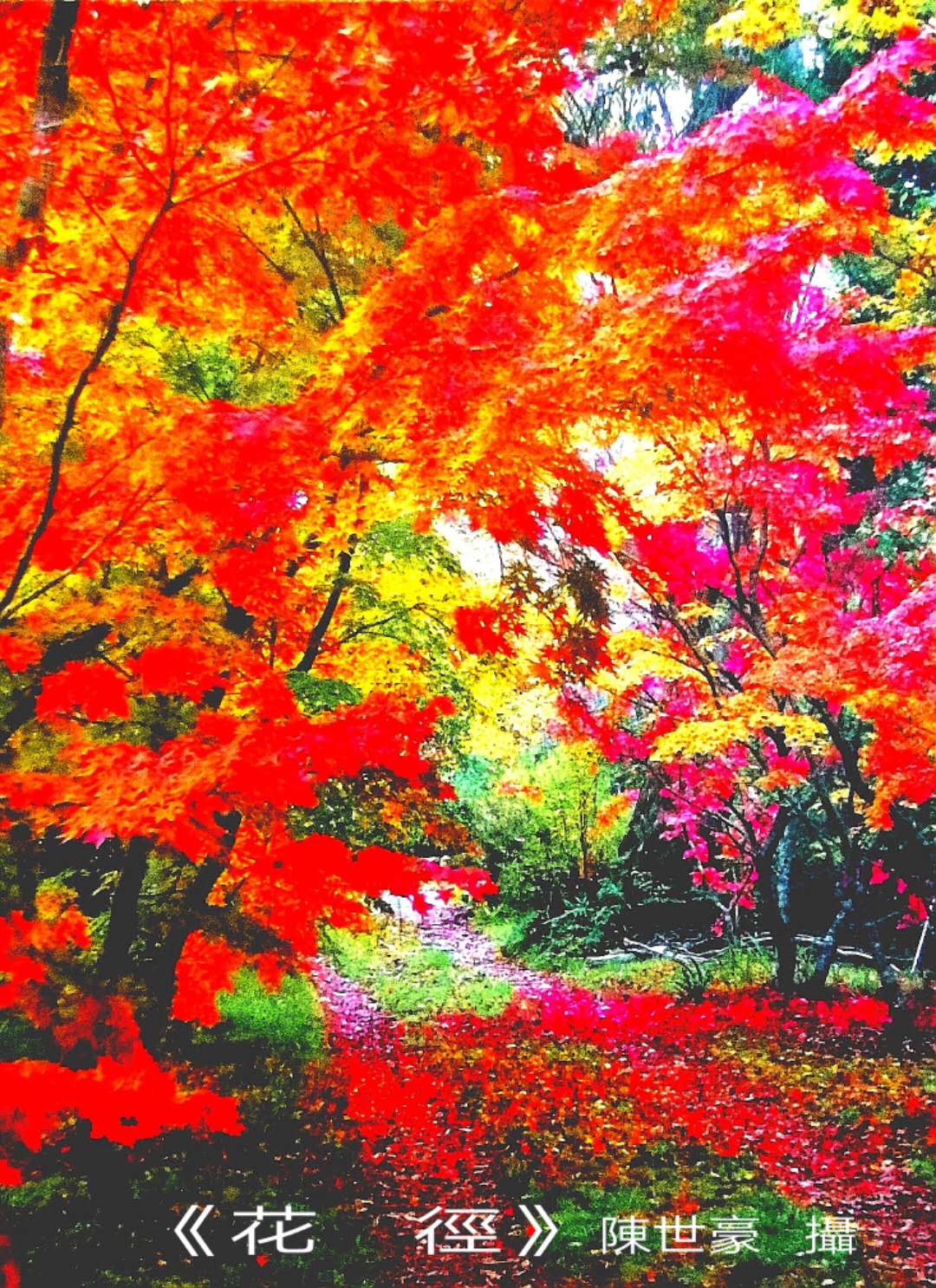 陈世豪摄影集《心弦》部分作品分享