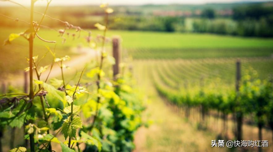 辉哥说心里话视频,辉哥讲真话直播间