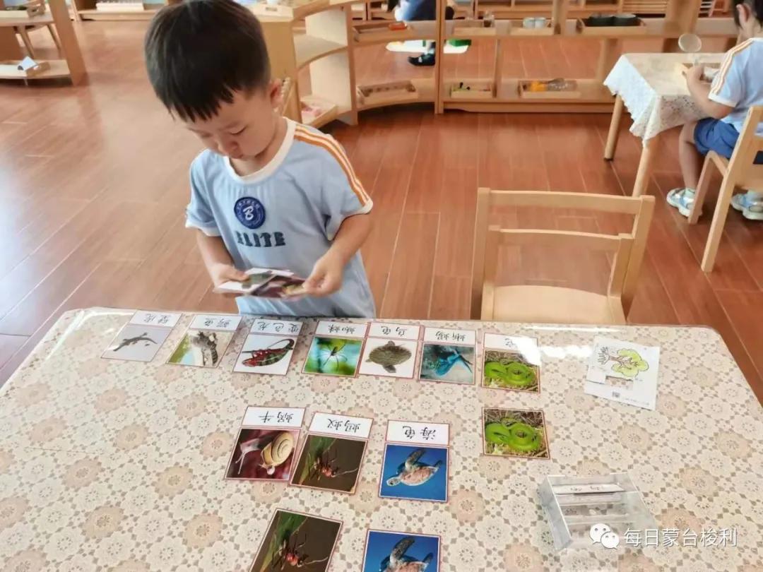 蒙台梭利怎么和儿童沟通,蒙特梭利对孩子犯错怎么批评