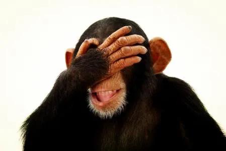 和键盘鼠标成为好朋友,轻松使用键盘鼠标