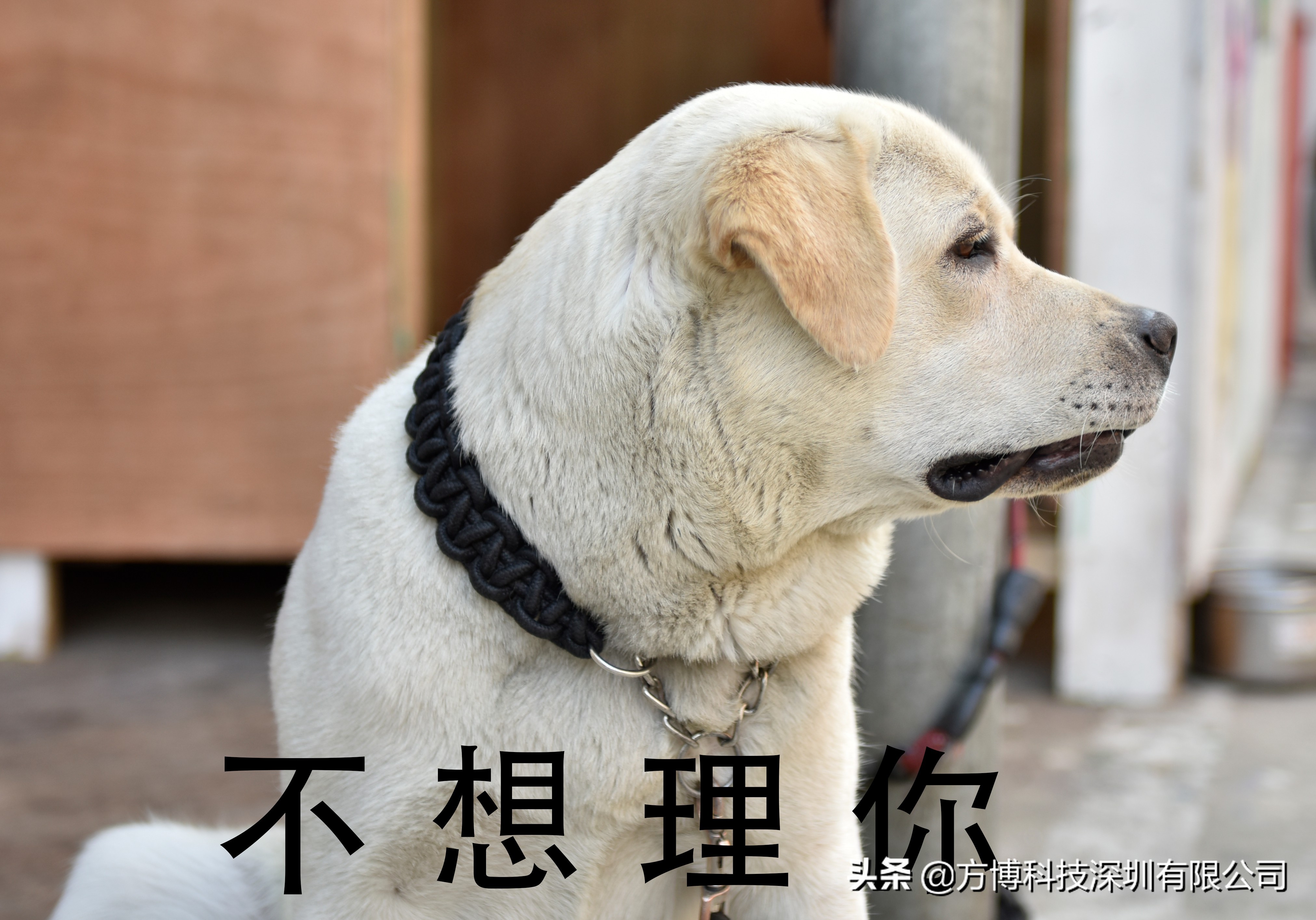 靠本事受尊重，豪华出货智能手表气密性工装