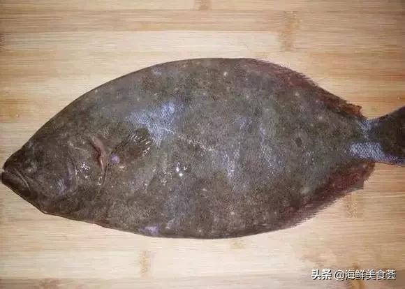 常见的鱼虾蟹等海鲜的认识,虾蟹类海鲜大全